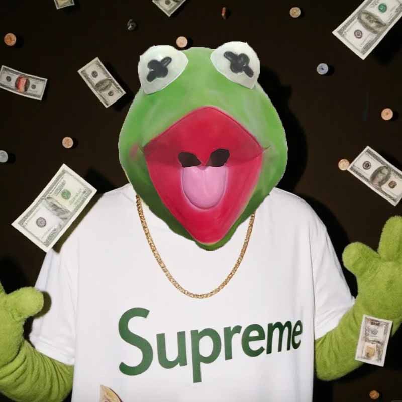 The Kermit Frog Meme Head Mask - Anime Cosplay Meme recension och pris