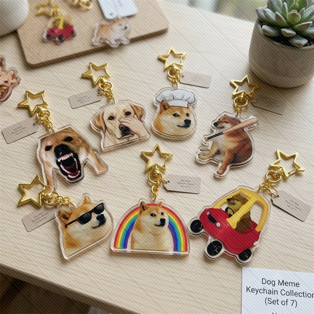 6CM Anime meme Acrylic Keychai - Anime Cosplay Meme recension och pris